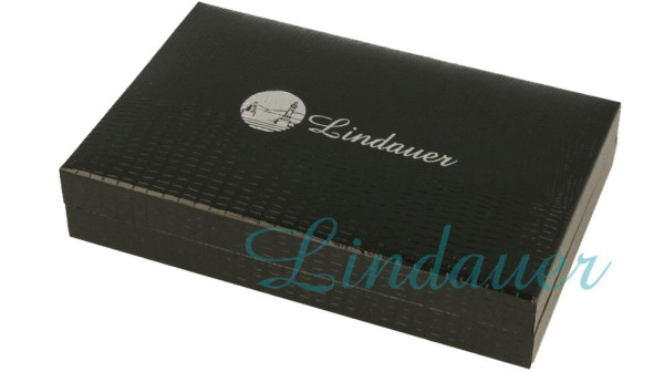 Lindauer Kunstleder-Etui D15L