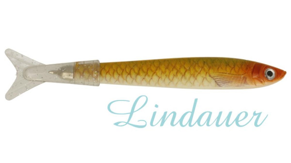 Samuel das Bodensee Felchen FISCH-910