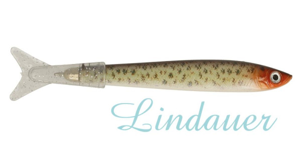 Emil der Bachsaibling FISCH921