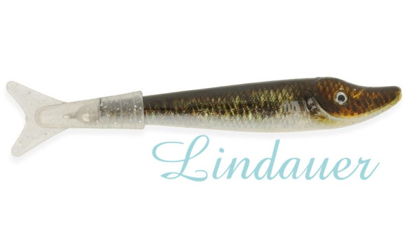 Edi der Hecht FISCH-P891