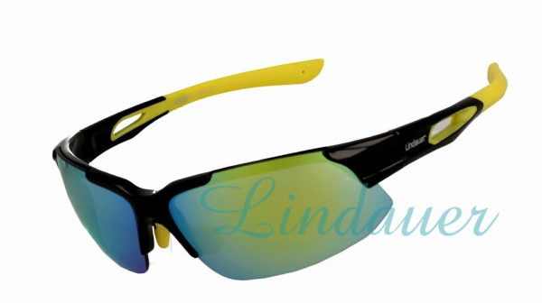 Lindauer Sonnenbrille S180.2